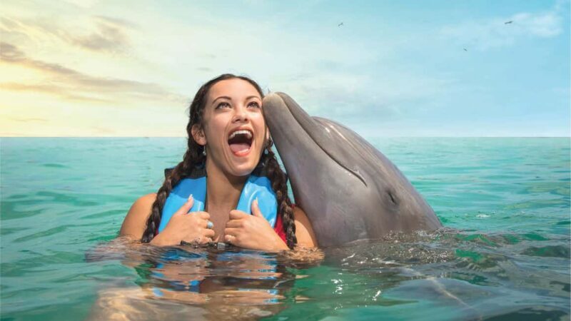 Puerto Aventuras: Dolphins, Manatee & Sea Lion interaction - Puerto Aventuras: Dolphins, Manatee & Sea Lion Interaction