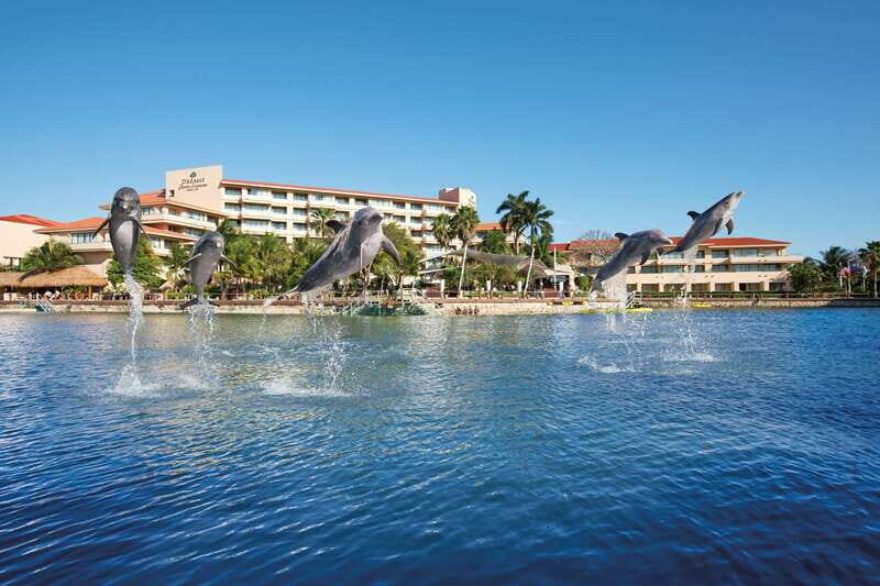 Puerto Aventuras: Dolphins, Manatee & Sea Lion interaction - Key Points