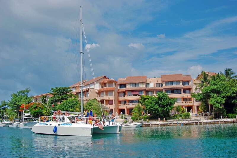 Puerto Aventuras: Manatee Encounter - Discovering the Puerto Aventuras: Manatee Encounter