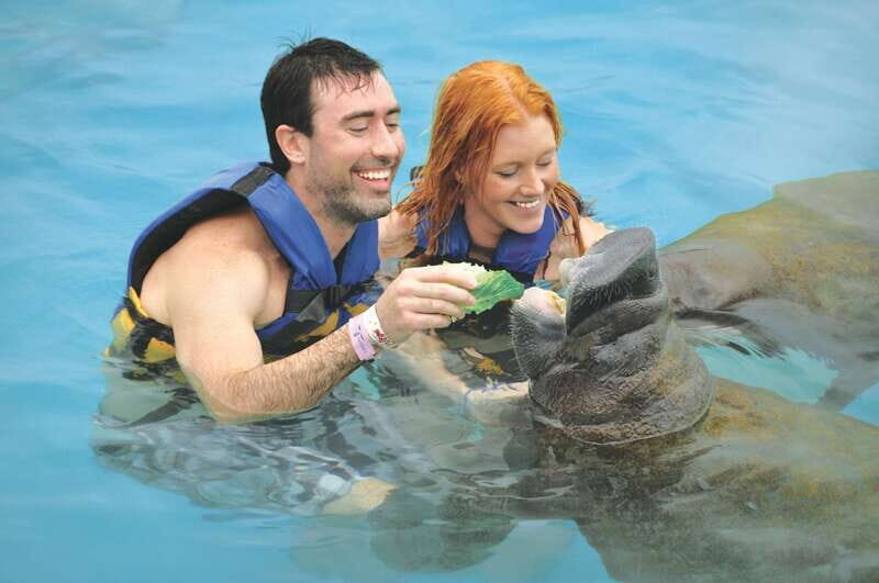 Puerto Aventuras: Manatee Encounter - The Practicalities: What You Need to Know