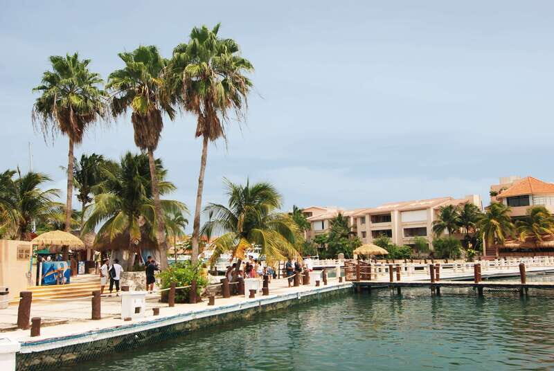 Puerto Aventuras: Manatee Encounter - Authentic Feedback from Travelers