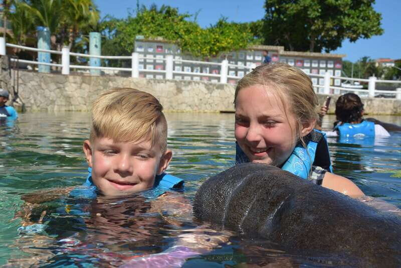 Puerto Aventuras: Manatee Encounter - Final Thoughts on the Puerto Aventuras Manatee Encounter