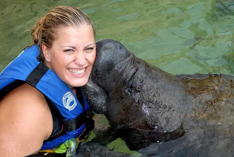 Puerto Aventuras: Manatee Encounter - FAQ