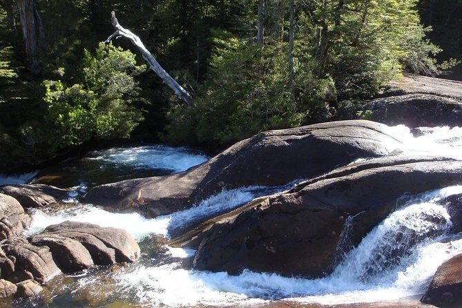 Puerto Blest Cruise & Waterfalls Hike with optional Frias Lake - Final Thoughts