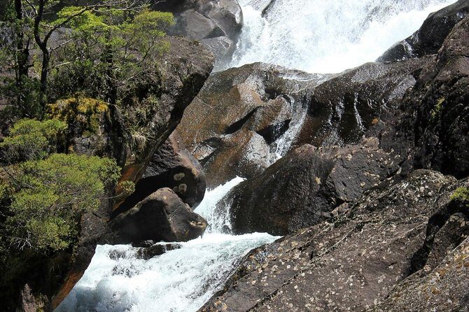 Puerto Blest Cruise & Waterfalls Hike with optional Frias Lake - Who Should Consider This Tour?