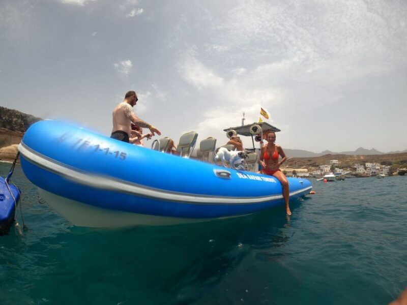 Puerto Colon: Dolphin and Whale Watching Speedboat Cruise - Exploring the Puerto Colon Dolphin and Whale-Watching Speedboat Cruise