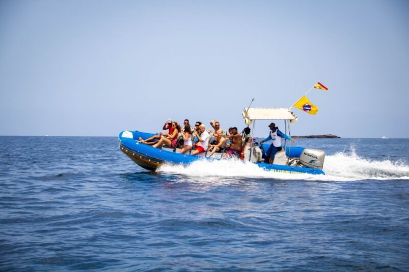 Puerto Colon: Dolphin and Whale Watching Speedboat Cruise - Practical Details and Tips