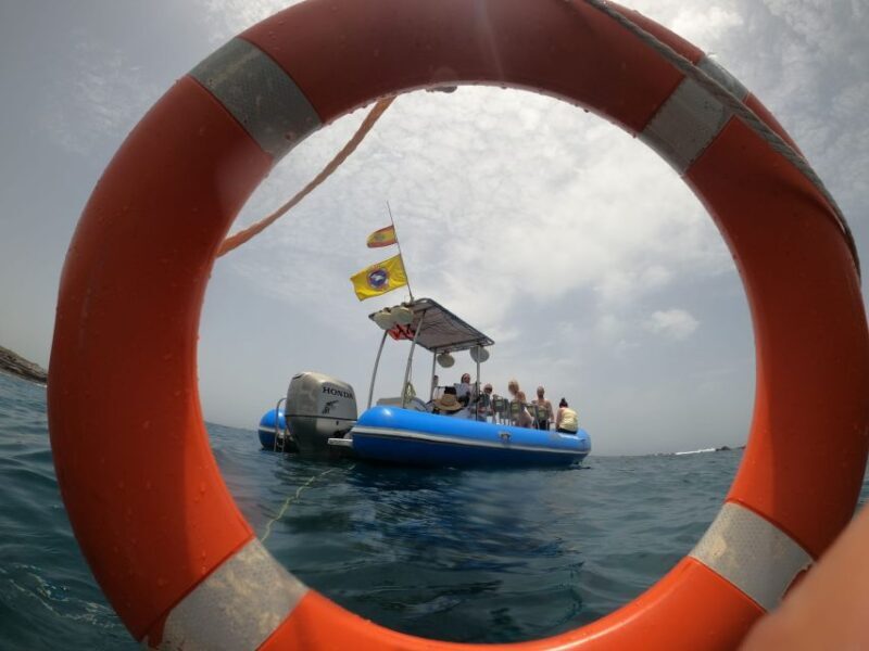Puerto Colon: Dolphin and Whale Watching Speedboat Tour - Discovering Tenerife’s Marine Marvels from Puerto Colon