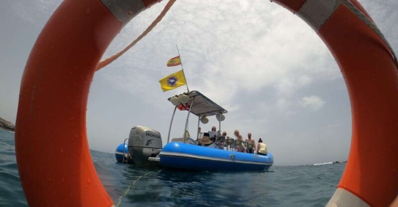 Puerto Colon: Dolphin and Whale Watching Speedboat Tour - Authentic Experiences and Guest Feedback
