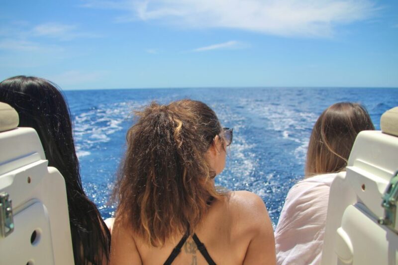 Puerto Colon : Whale & Dolphins Sailing Excursion - Puerto Colon: Whale & Dolphins Sailing Excursion — A Close Encounter with Tenerife’s Marine Wildlife