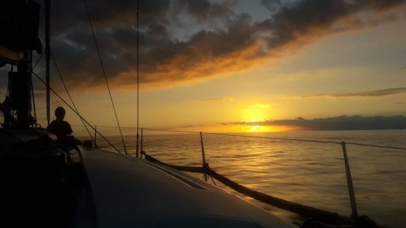 Puerto Colon: Whale-Watching Sailing Tour with Meal & a Swim - Key Points