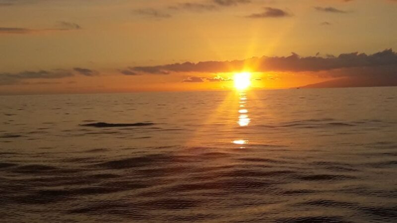 Puerto Colon: Whale-Watching Sailing Tour with Meal & a Swim - Practical Details: What to Know Before You Go
