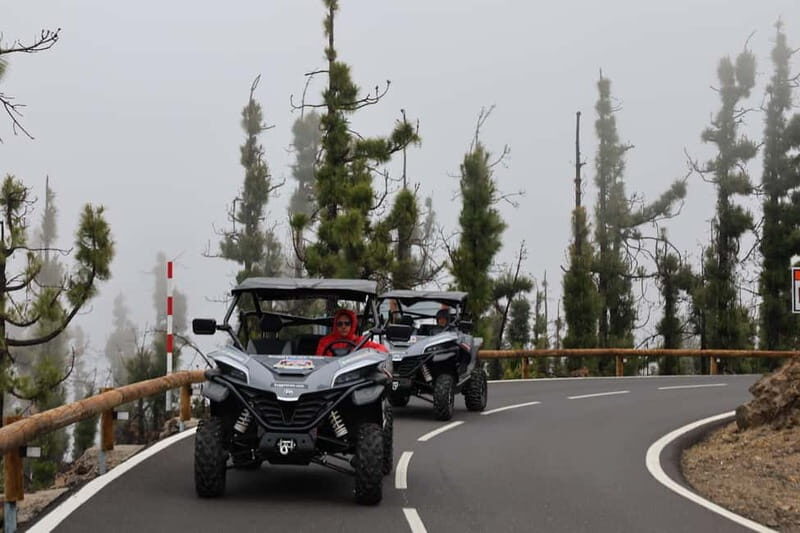Puerto de la Cruz: Buggy Teide National Park - The Heart of the Tour: A Detailed Breakdown