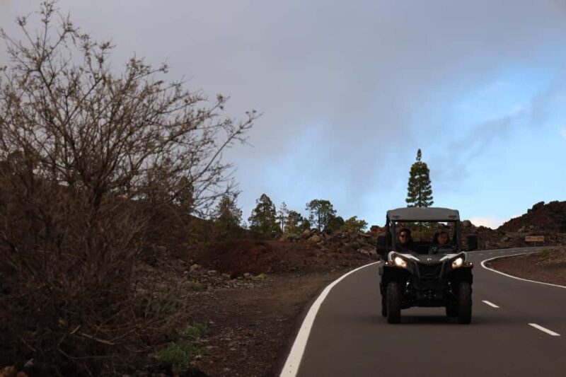 Puerto de la Cruz: Buggy Teide Sunset National Park - Who Is This Tour Best For?