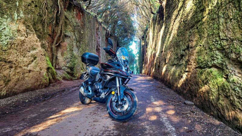 Puerto de la Cruz Motorbike tour through Teide National Park - Puerto de la Cruz Motorbike Tour through Teide National Park