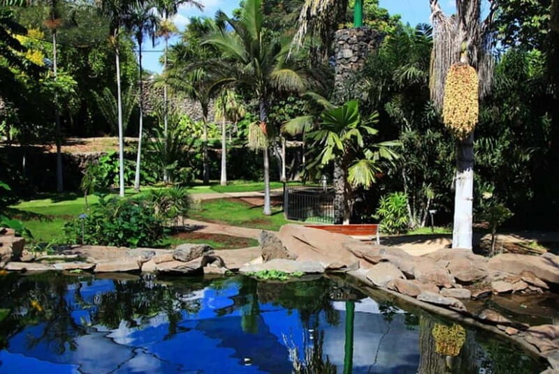Puerto de la Cruz: VIP Getaway Tenerife Playa Teresitas, Science and Culture - Key Points