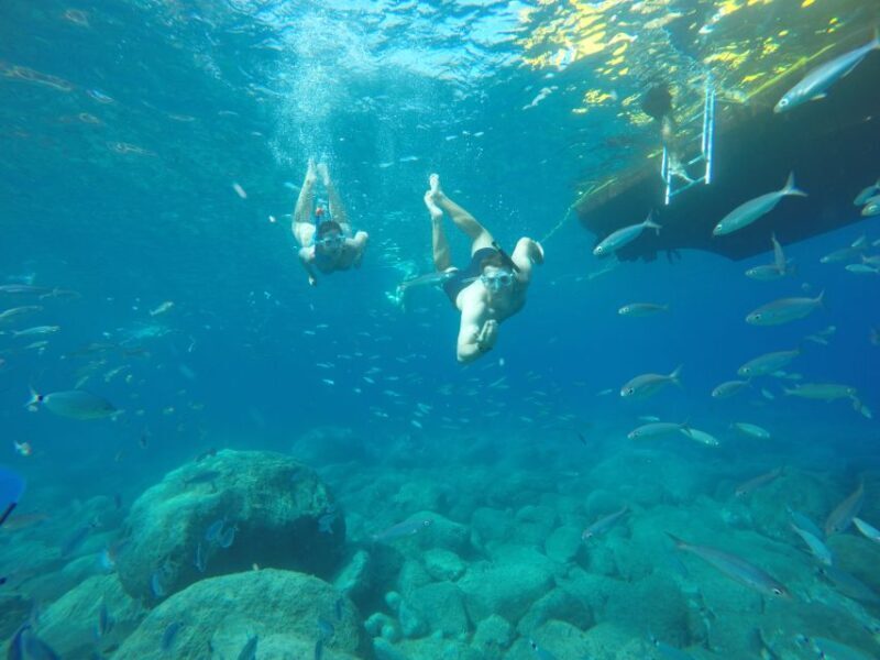 Puerto de Mogan: Boat and Snorkeling Trip - Key Points