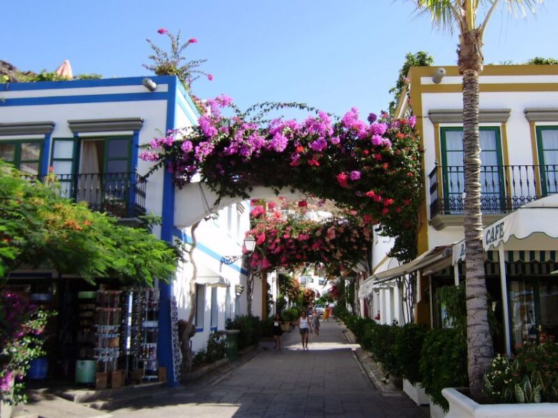 Puerto de Mogan: Friday Market Experience - Final Thoughts