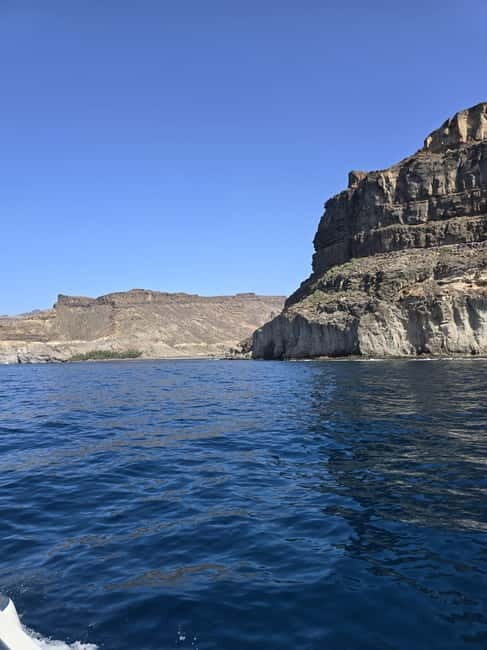 Puerto de Mogán: PRIVATE yacht for up to 9 people - Final Thoughts: Is This Experience Right for You?