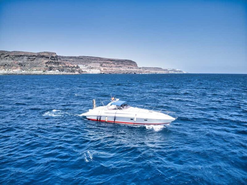 Puerto de Mogán: PRIVATE yacht for up to 9 people - Final Words