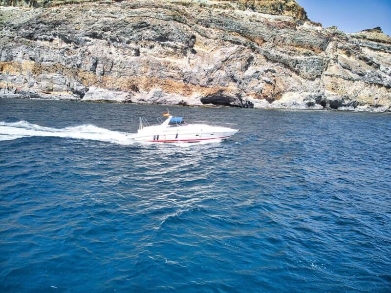Puerto de Mogán: Private yacht for up to 9 people - Authentic Feedback: What Travelers Are Saying