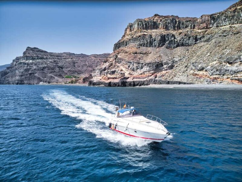 Puerto de Mogán: Private yacht for up to 9 people - Final Thoughts