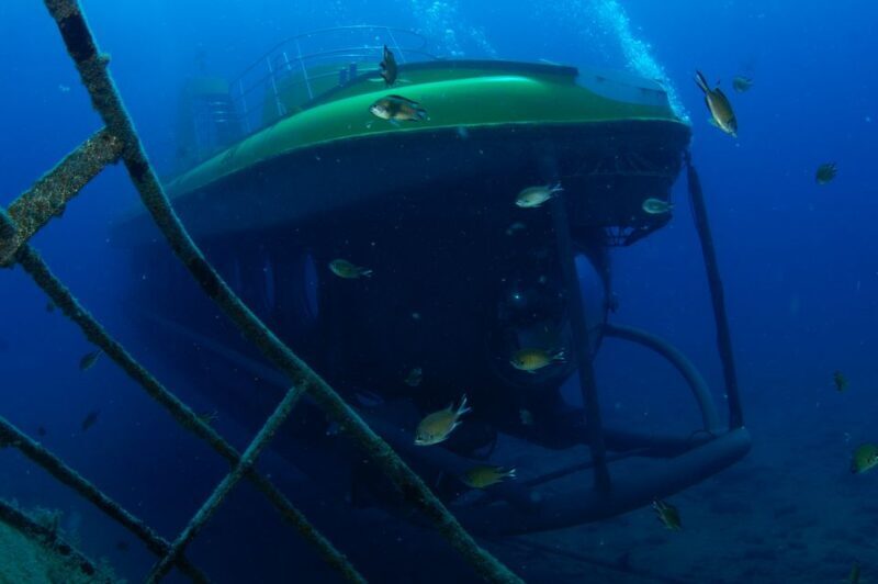 Puerto de Mogán: Submarine Tour - Key Points