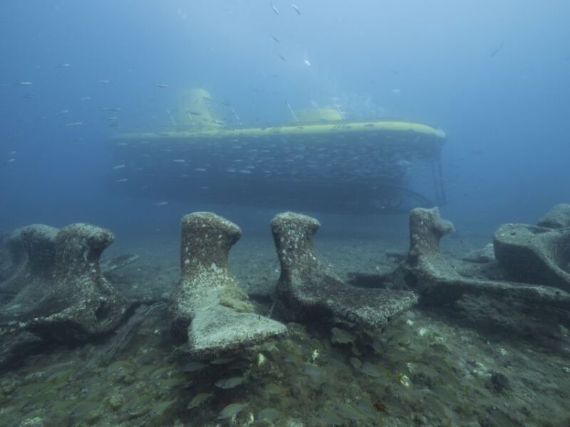 Puerto de Mogán: Submarine Tour - Who Should Consider This Tour?