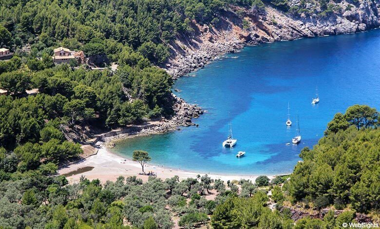 Puerto de Sóller: Cala Tuent Return Boat Trip - Who Should Consider This Experience?