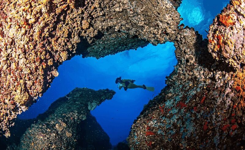 Puerto de Soller: Train and Discover Scuba Diving - A Complete Breakdown of the Experience