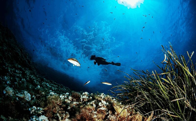 Puerto de Soller: Train and Guided Scuba Diving Experience - Puerto de Soller: Train and Guided Scuba Diving Experience