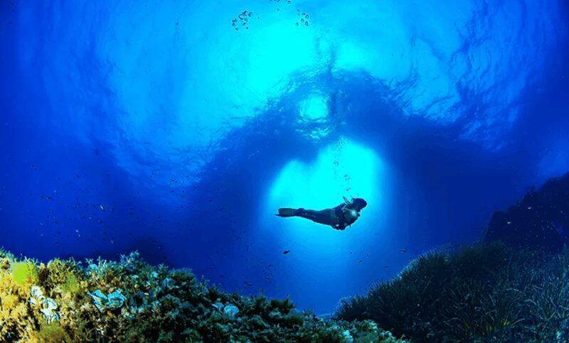 Puerto de Soller: Train and Guided Scuba Diving Experience - Key Points