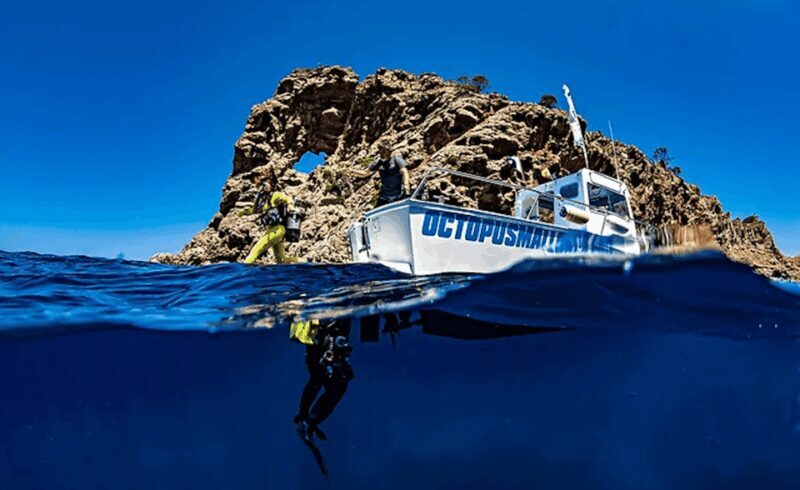 Puerto de Soller: Train and Guided Scuba Diving Experience - The Itinerary in Detail