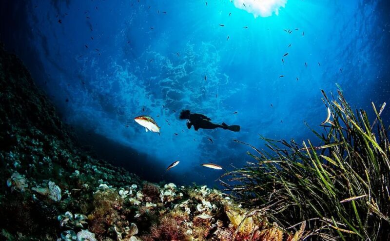 Puerto de Soller: Train and Guided Scuba Diving Experience - Authentic Experiences and Practical Details