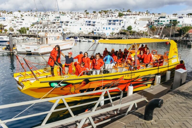 Puerto del Carmen: Dolphin-Watching Speedboat Tour with Swim - The Highlight: Swimming in the Atlantic
