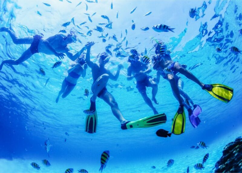 Puerto del Carmen: Dolphin-Watching Speedboat Tour with Swim - Who Would Enjoy This?