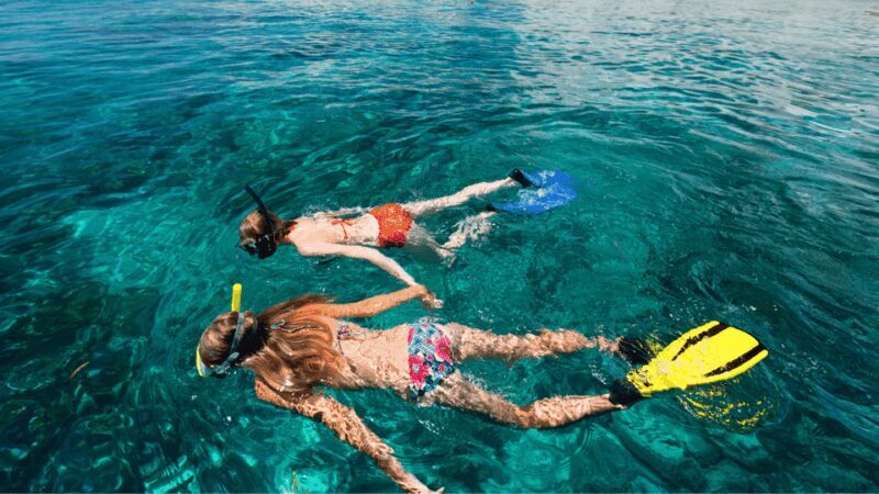 Puerto del Carmen: Snokel tour with an instructor - Key Points