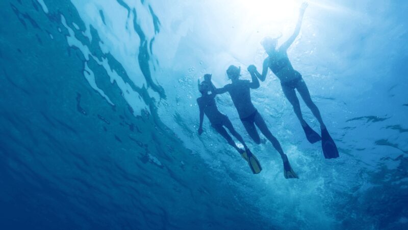 Puerto del Carmen: Snokel tour with an instructor - Frequently Asked Questions