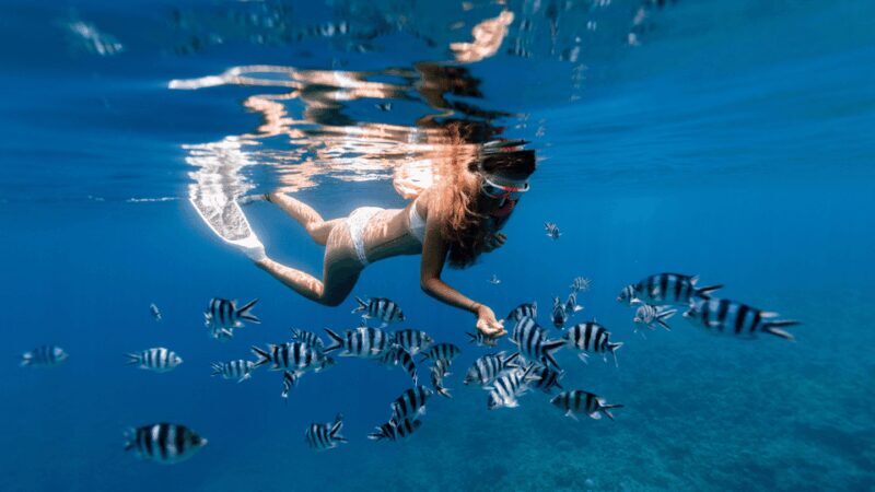 Puerto del Carmen: Snokel tour with an instructor - Final Thoughts