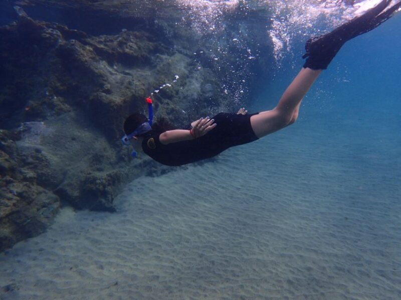 Puerto del Carmen: Snorkeling Trip with Dive Instructor - The Practical Side: Logistics and Considerations