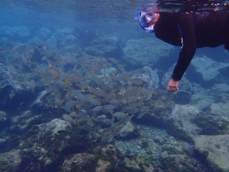 Puerto del Carmen: Snorkeling Trip with Dive Instructor - Authentic Reviews from Past Participants
