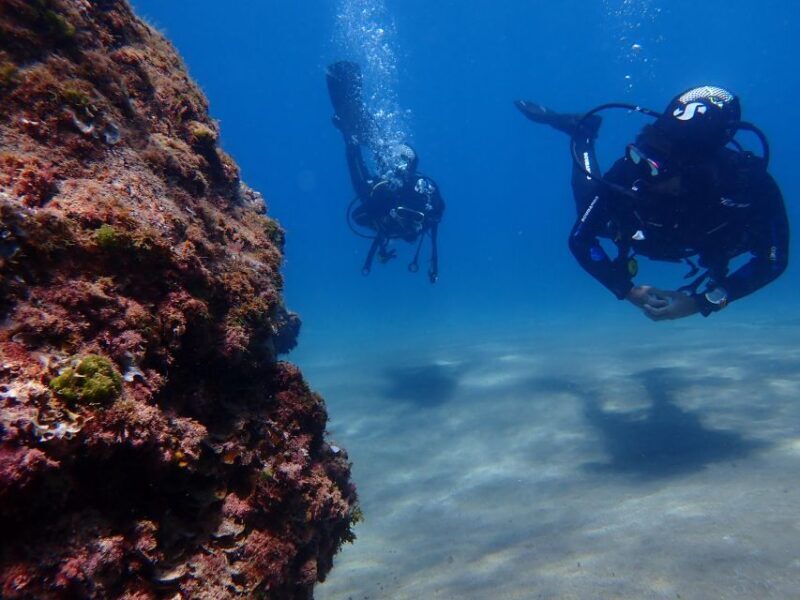 Puerto del Carmen: Try Scuba Diving from the beach - The Value of This Experience