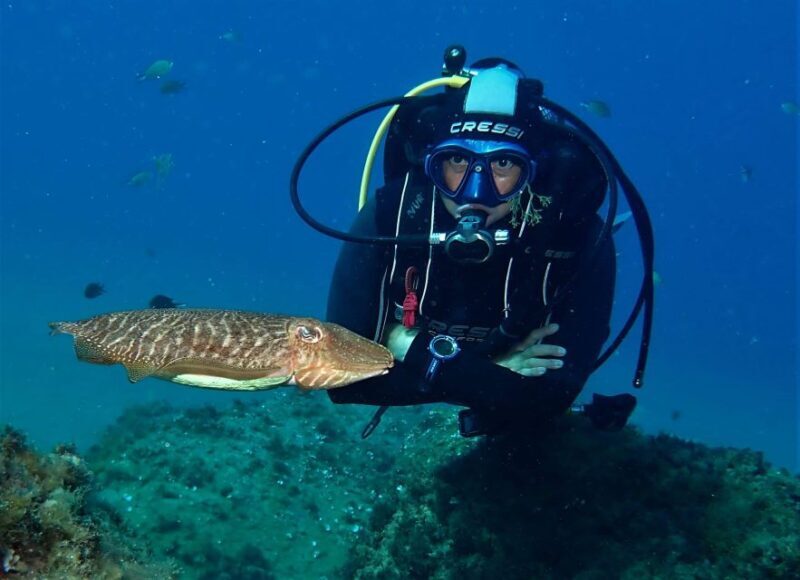 Puerto Del Carmen: Try Scuba Diving with 2 Dives and Photos - What’s Included and What to Consider