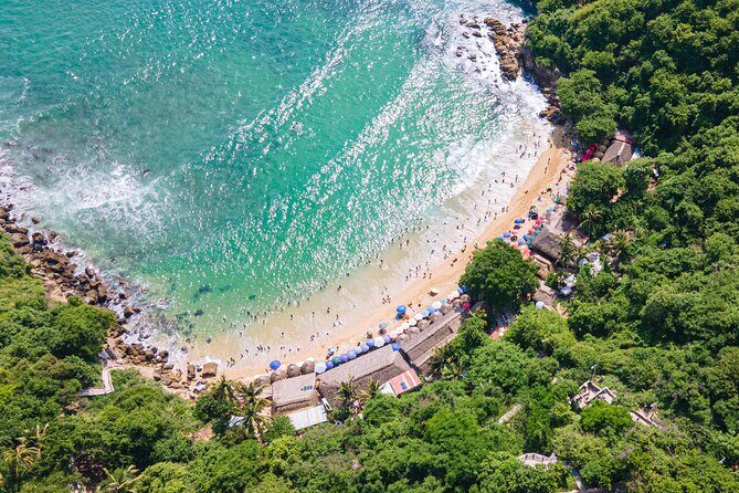 Puerto Escondido at 1 Carrizalillo, Zicatela and Release Turtles - Puerto Escondido at 1 Carrizalillo, Zicatela and Release Turtles: A Balanced Look at a Nature-Infused Day