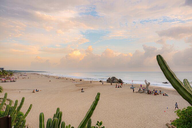 Puerto Escondido at 1 Carrizalillo, Zicatela and Release Turtles - FAQ: Your Practical Questions Answered