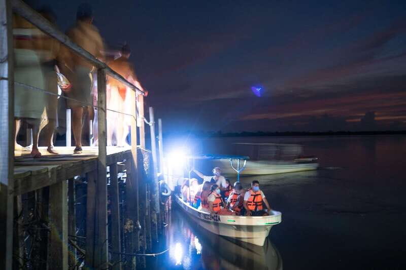 Puerto Escondido: Bioluminescence Night Spectacle - Puerto Escondido: Bioluminescence Night Spectacle — A Deep Dive