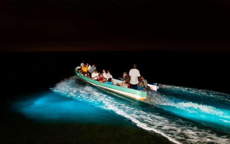 Puerto Escondido: Bioluminescence Night Spectacle - How the Tour Runs