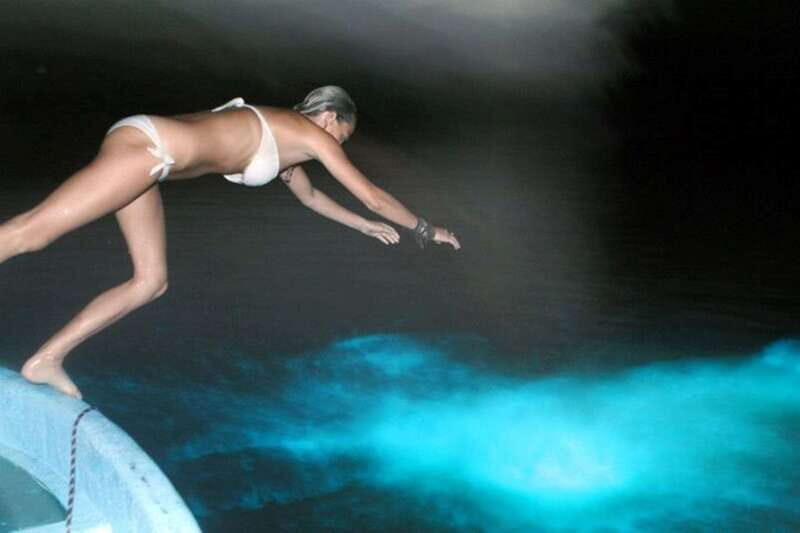 Puerto Escondido: Bioluminescence Night Spectacle - Practical Tips for Enjoying the Tour