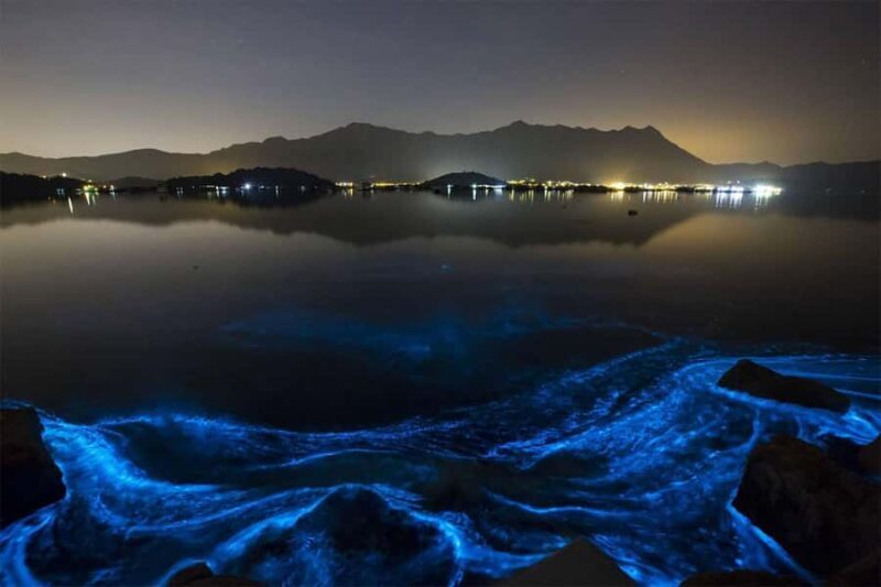 Puerto Escondido: Bioluminescence Night Tour with Boat - Key Points