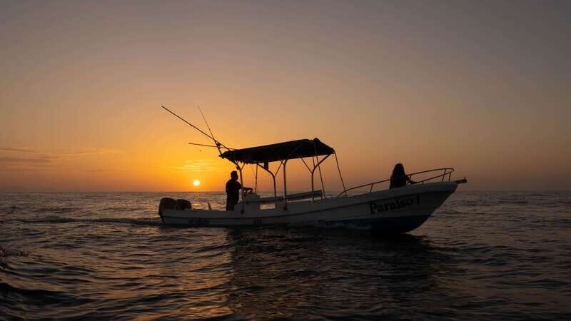 Puerto Escondido: Boat Tour among Dolphins and Turtles - What Makes This Tour Stand Out